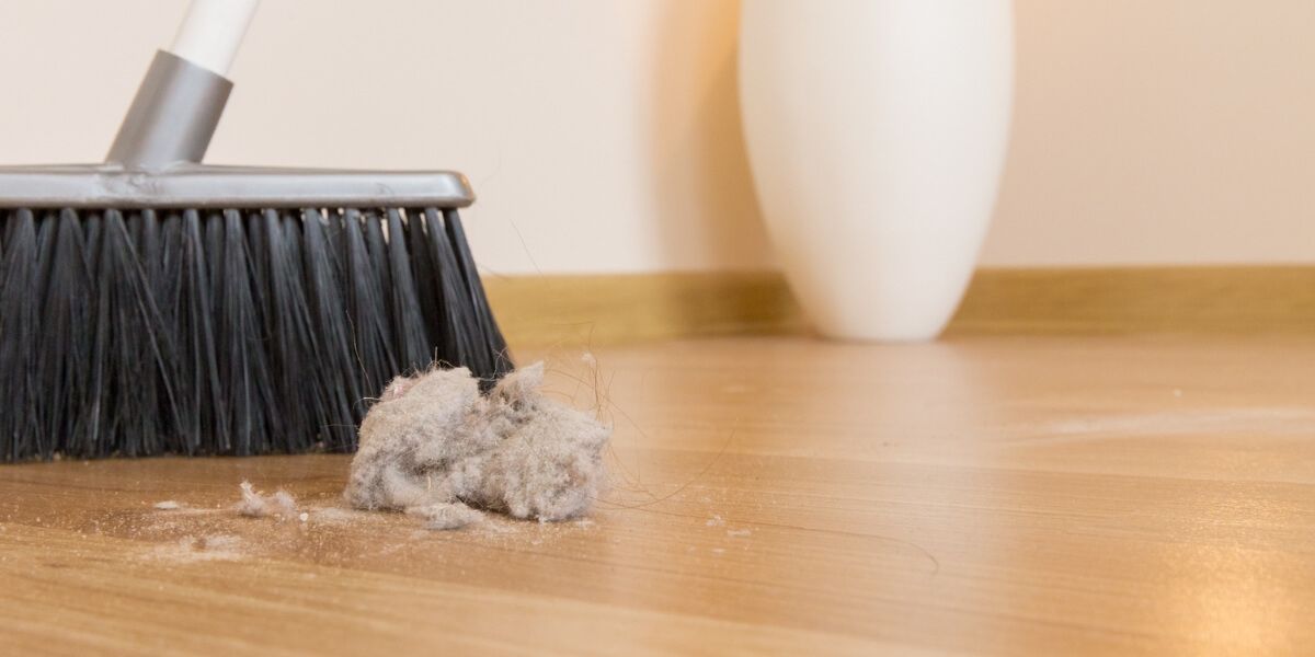 broom-sweeping-up-dust